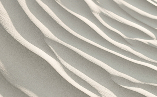 Shielding Ideas Empowering Innovation